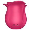 Satisfyer Pro 2 Rose Modern - léghullámos csiklóizgató (piros)