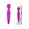 Pretty Love Power wand 
