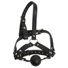Bad Kitty Head Harness