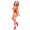 Kissmas stockings S/M