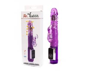 Mr. Rabbit Vibrator Purple