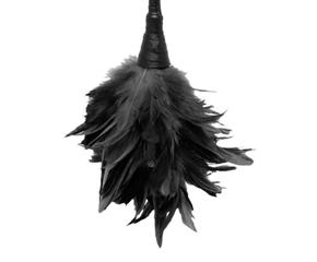 Fetish Fantasy Series Frisky Feather Duster Black