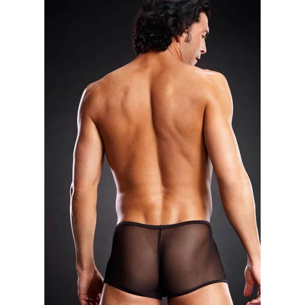 Micro Mesh Trunk Black L/XL